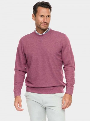 Robert Graham Colbourne Knit Shirt Berry | 576UWVJAM