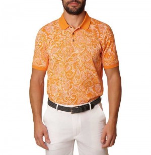 Robert Graham Dozer Polo Narancssárga | 718CGAIDX