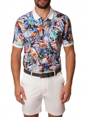 Robert Graham Flores Polo Multi | 794WDVSFN