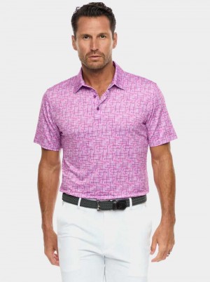 Robert Graham Iron Play Knit Polo Berry | 412SGELFN