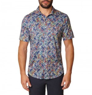 Robert Graham Padova Short Sleeve Knit Shirt Multi | 650KXILGR