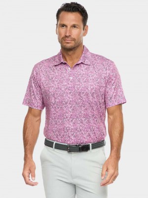 Robert Graham Torin Short Sleeve Knit Polo Sötétkék | 150XQCSPG