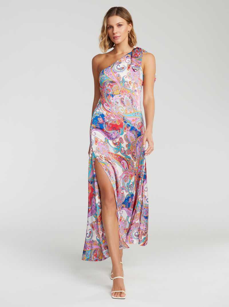 Robert Graham Audrey Dress Multi | 024JYQGPS