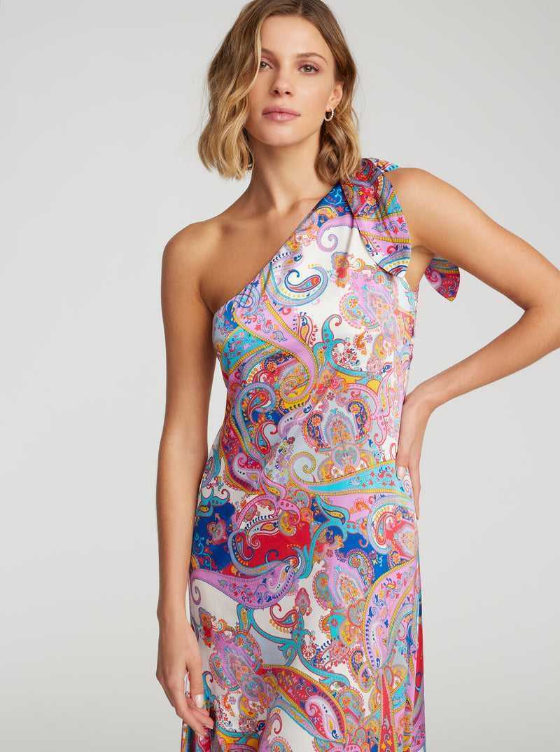 Robert Graham Audrey Dress Multi | 024JYQGPS