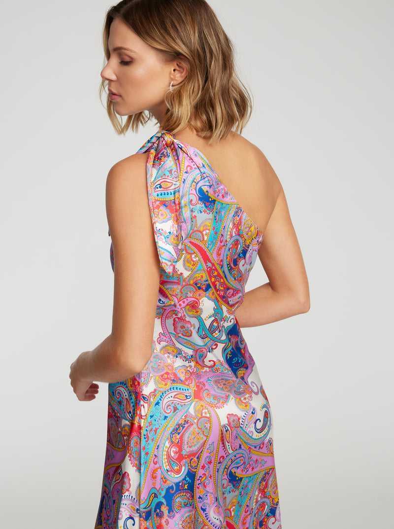 Robert Graham Audrey Dress Multi | 024JYQGPS