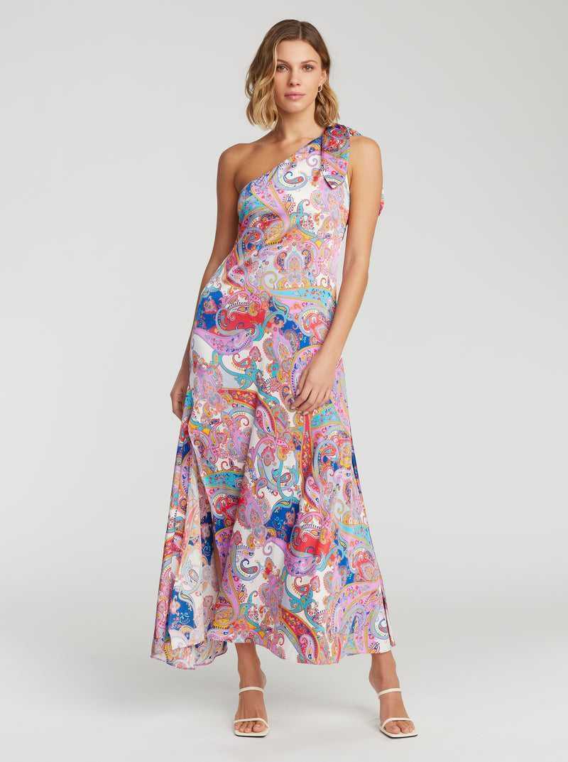 Robert Graham Audrey Dress Multi | 024JYQGPS