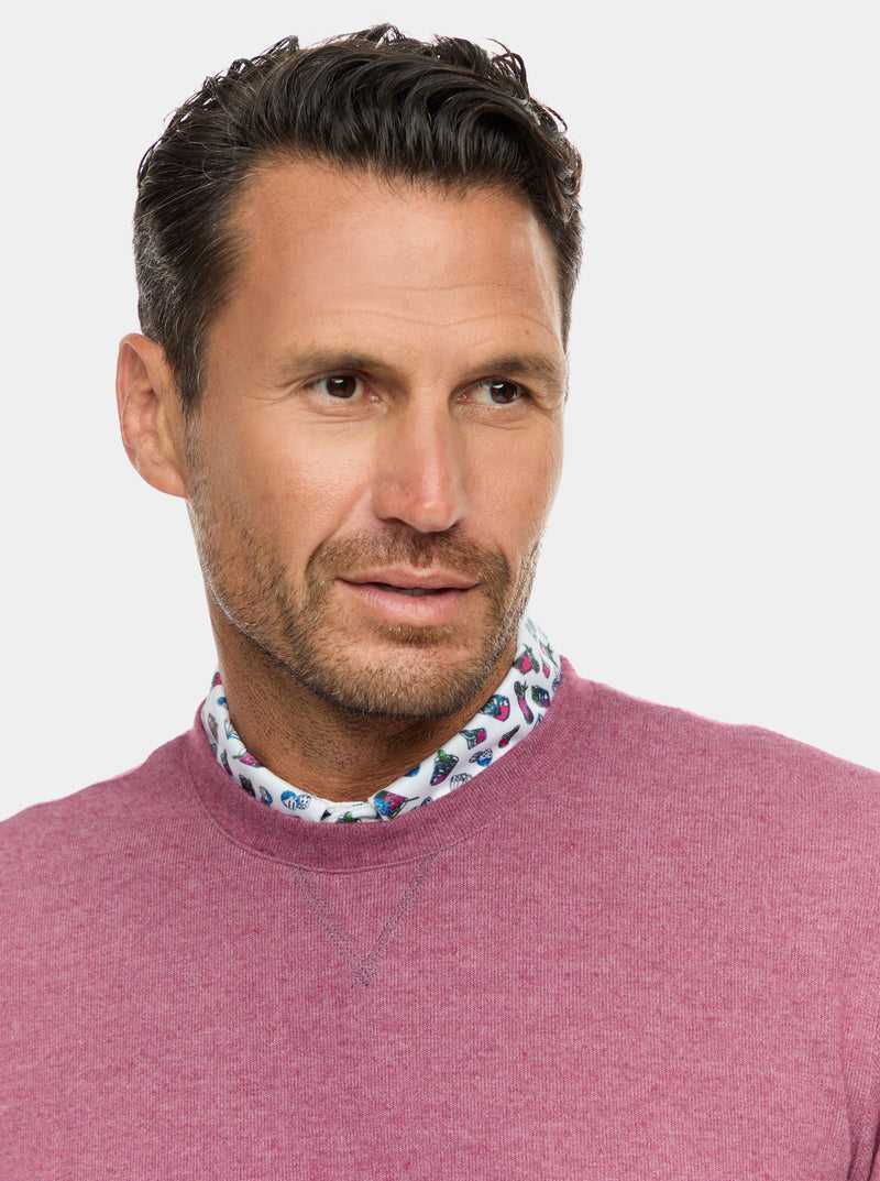 Robert Graham Colbourne Knit Shirt Berry | 576UWVJAM