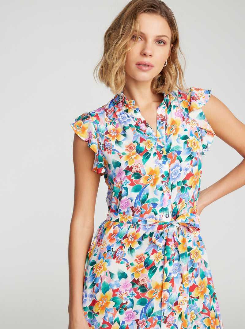 Robert Graham Sadie Dress Multi | 752MOCFNY