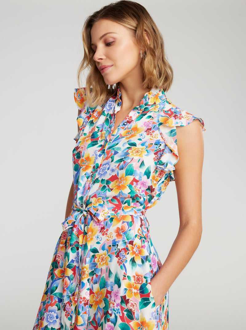 Robert Graham Sadie Dress Multi | 752MOCFNY