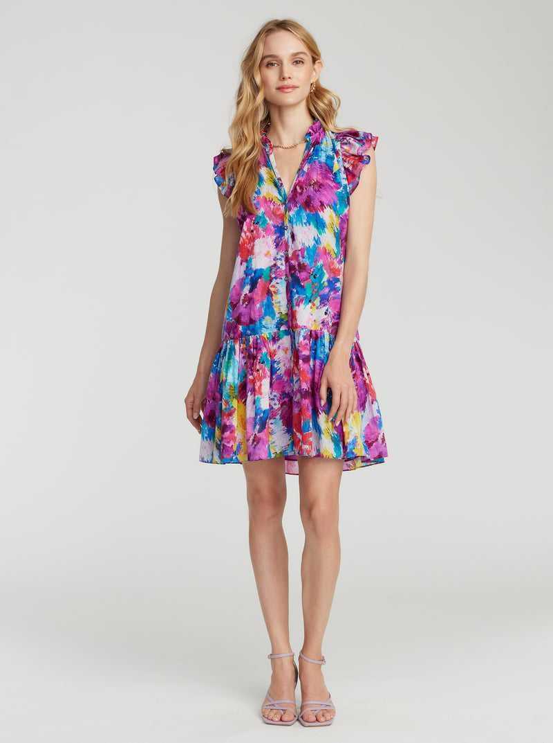 Robert Graham Savannah Dress Multi | 709UKPWBH